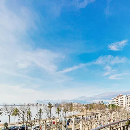 With Scenic View *